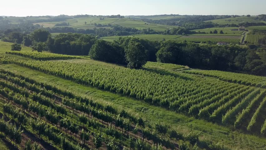 Drone Aerial Barossa Valley Major Wine Stock Footage Video (100% ...