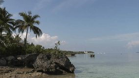 Palm trees on shore of South China Sea on background of blue sky and white clouds on islands of Republic of Philippines.