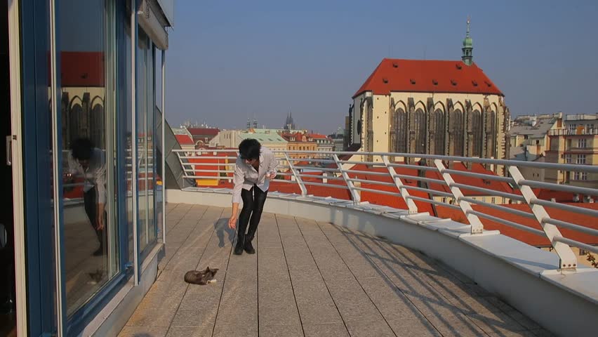 Young woman playing with cat on balcony in Prague Europe. Manage stress, develop healthy habits. Young Woman Relieving Stress Through Playful Cat Interaction. simple joys of connecting with pet pets. Royalty-Free Stock Footage #1020487678