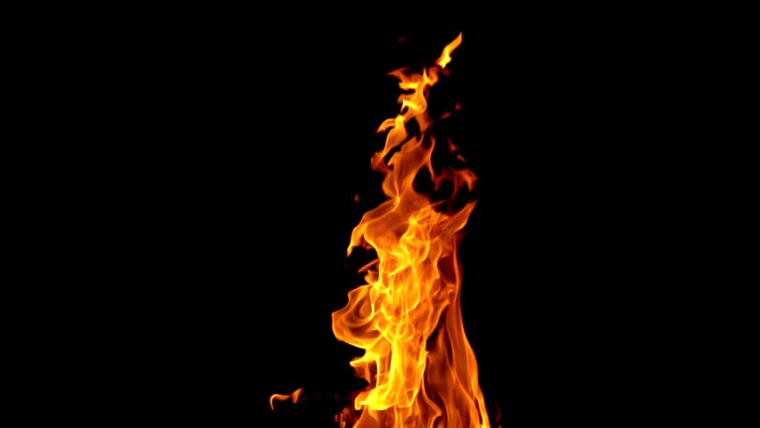Burning fire. Bonfire. Closeup of flames burning on black background, slow motion