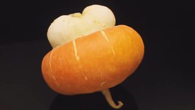 Pumpkin With Genetic Mutation Biological Deviation - Powered by Shutterstock - Get 15% off with code: PIKWIZARD15