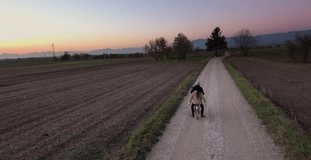 Young couple rides a bike in the countryside at sunset. Aerial drone shot