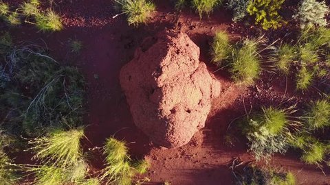 Top-down, overhead shot zooming out of a termite mound in the Pilbra region of Western Australia.
