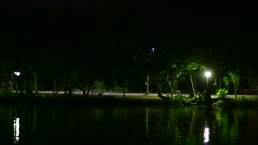 Lake at night