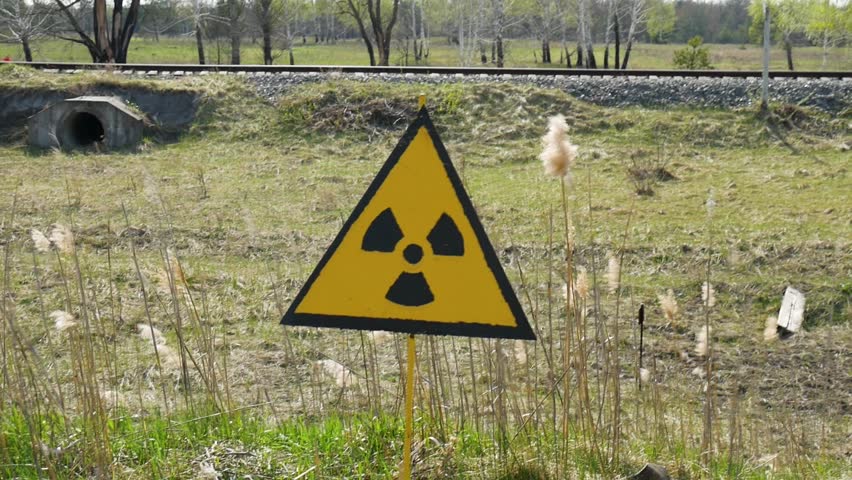 Radiation danger sign in Chernobyl exclusion zone against Red Forest Royalty-Free Stock Footage #1020516331