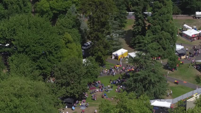 Aerial - Australian Festival In A Park