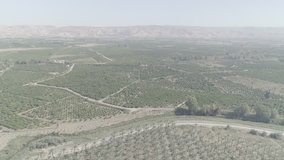 Jordan valley, Israel, aerial 4k