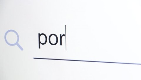 The keyword "porn" is being typed in a search bar on a computer LCD monitor screen, selective focus
