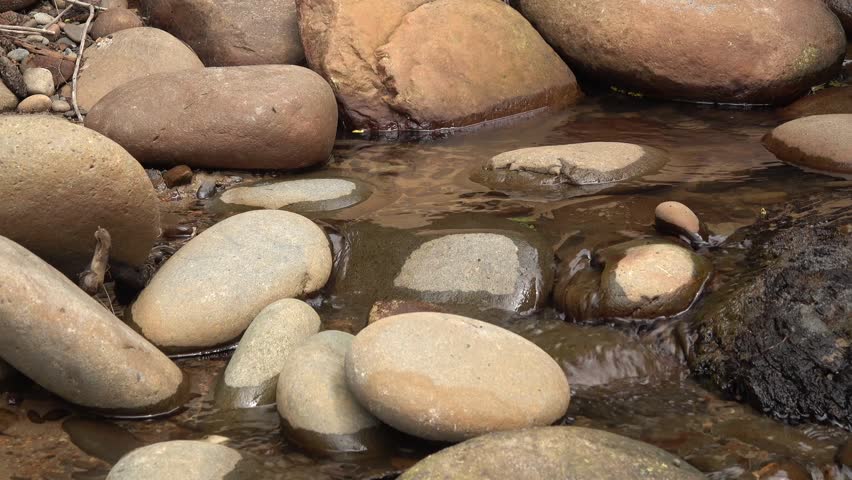 A stream in the rainforest, the water flows through the stones. The Pacific Coast. Olympic National Park, United States, Washington