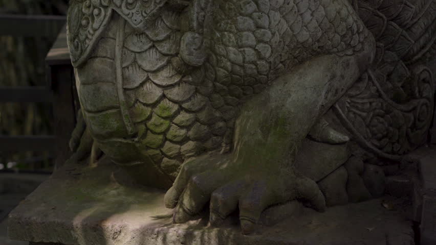 Steadicam shot of the dragon in the natural park Monkey forest in Ubud village, Bali, Indonesia