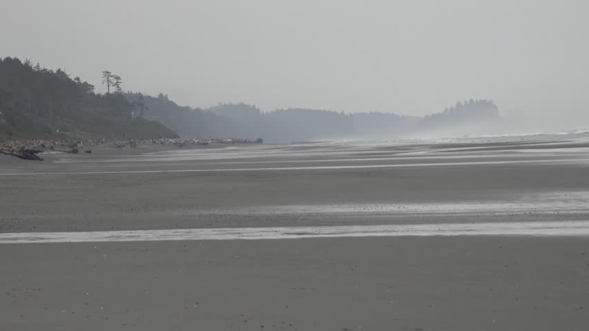 Pacific Coast, Olympic National Park, United States, Washington