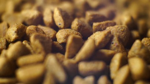 Panning over pet dry food close-up   footage - Pile of cat or dog pellets slow pan.