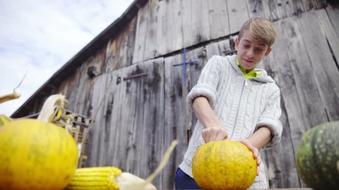 Boy on farm cleaning pumpkin insides with spoon HD. Low angle sliding view of boy working with pumpkin on table and other pumpkins in front. Wooden retro door in background
