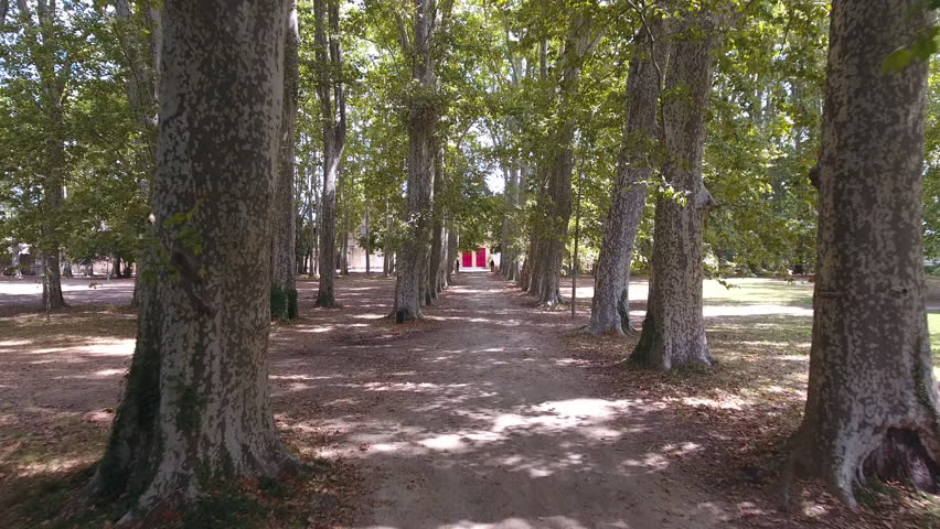 Aerial view moving towards a big red doors in a path with trees. Sunny day 