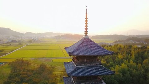 Aerial shot of rural landscape with a temple in Japan 