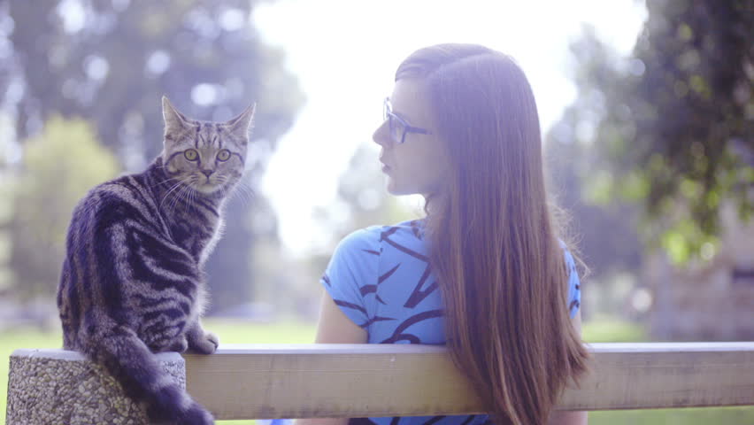 Woman and cat rest on bench in park HD . Cute kitten and beautiful woman sit on bench and looking each other. Shoot behind the back in nature.