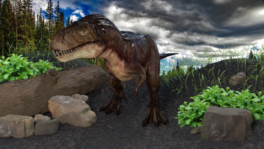 An Islated Tyrannosaurus Rex Roaring