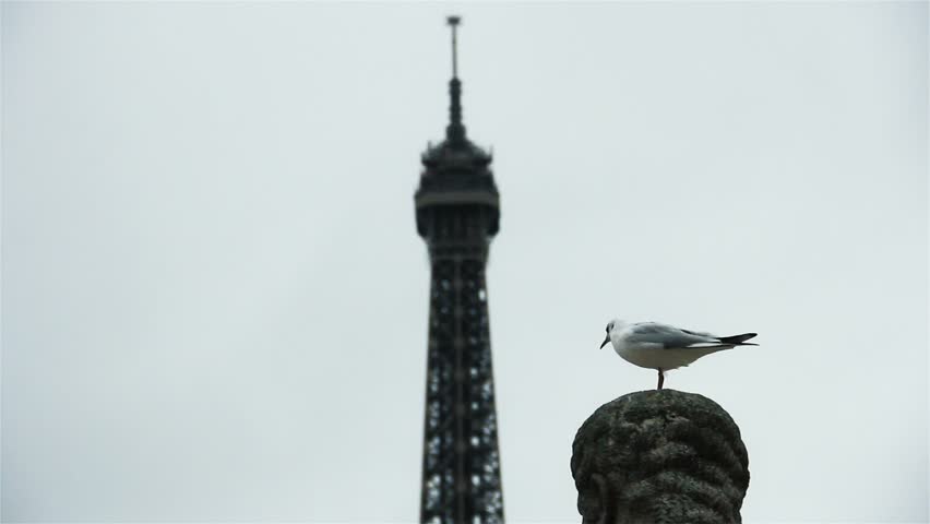 Bird on Top of a Statue with the Eiffel Tower in the Background, Trocadero Gardens (Jardins du Trocadero), 16th arrondissement of Paris, France.