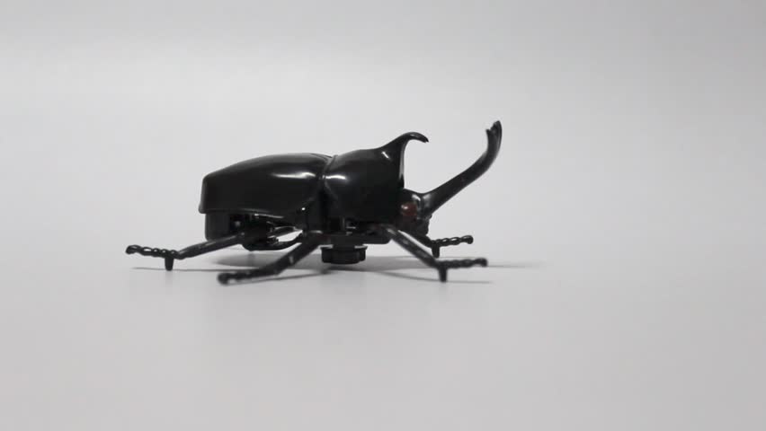 beetle bug toy