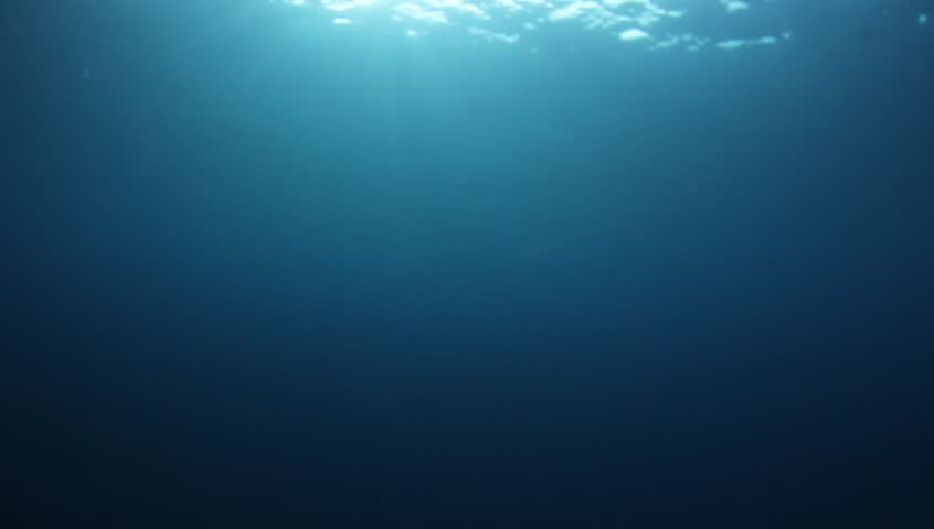 Underwater sunlight in ocean video clip   | Shutterstock HD Video #1020699493