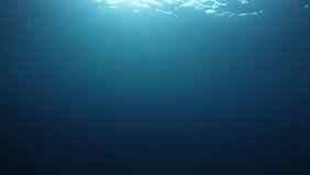 Underwater sunlight in ocean video clip  