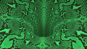 snakeskin wormhole funnel tunnel flight seamless loop animation background new quality vintage style cool nice beautiful 4k stock video footage