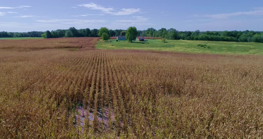 Fly back to the house as you fly over a field that is ready to be harvested.