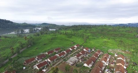 Aerial Green village