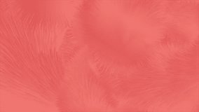 Living coral trendy color 2019 abstract fluffy fur effect motion background. Seamless looping. Video animation Ultra HD 4K 3840x2160