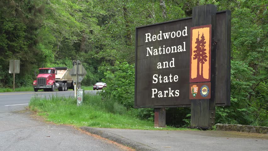 Redwood National and State Parks