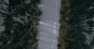 Aerial view: Skiers and snowboarders going down the slope in winter day. Skiers and snowboarders enjoying on slopes of ski resort in winter season. Aerial footage. Carpathians. Bukovel. Snow. 