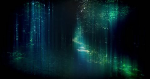 Slowly floating through dark enchanted forest, blue green glow.mov
 Stock Video