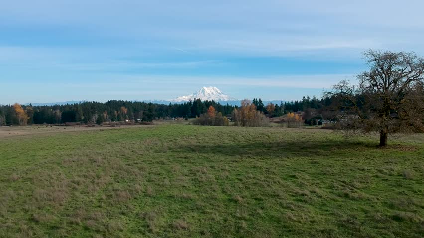 A beautiful crisp fall day in Washington State. Ariel footage of green pasture with the snow-capped peaks of Mount Rainier in the distance