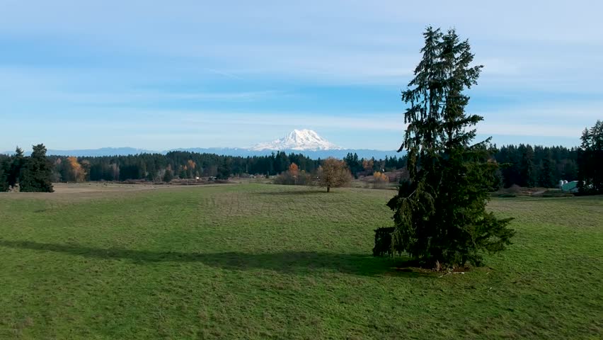 A beautiful crisp fall day in Washington State. Ariel footage of green pasture with the snow-capped peaks of Mount Rainier in the distance