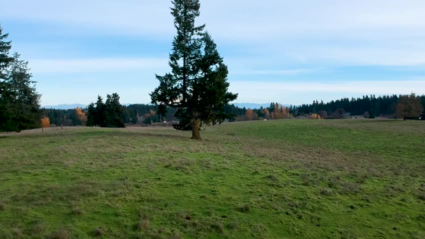 A beautiful crisp fall day in Washington State. Ariel footage of green pasture with the snow-capped peaks of Mount Rainier in the distance