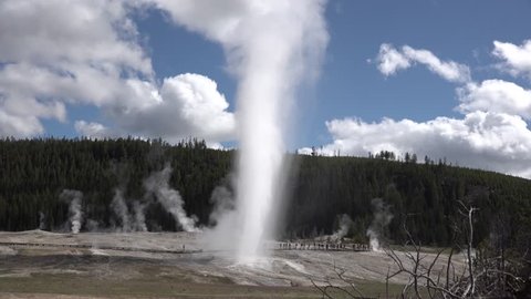 Geyser Erupts In Yellowstone National の動画素材 ロイヤリティフリー Shutterstock