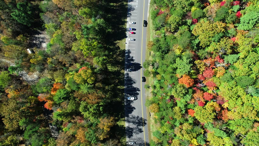 Golden autumn. Top view of the forest. National park  Great Smoky Mountains. Tennessee. USA. 