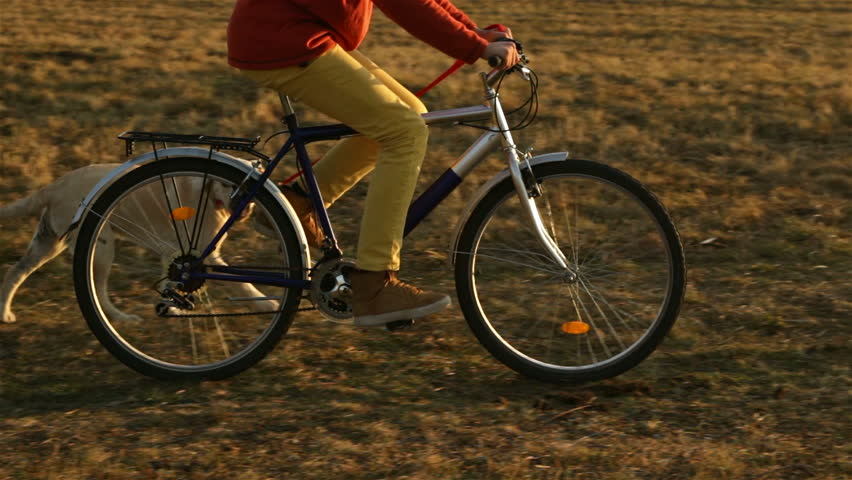 Boy walking his dog on the leash while riding a bicycle - camera follows