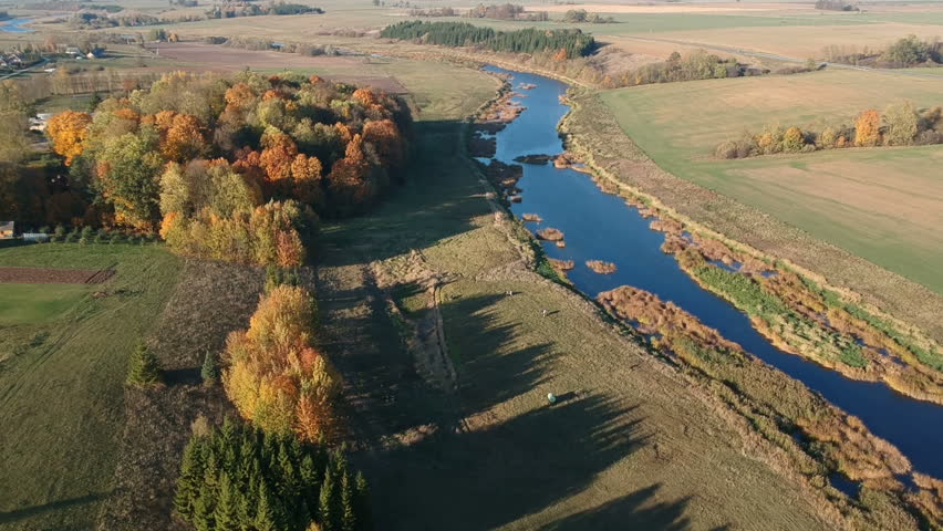 blue autumn river and farm fields with golden groves, aerial view

