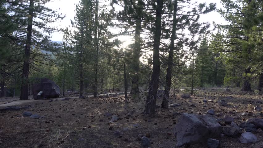 Lassen Volcanic National Park Devastated Area