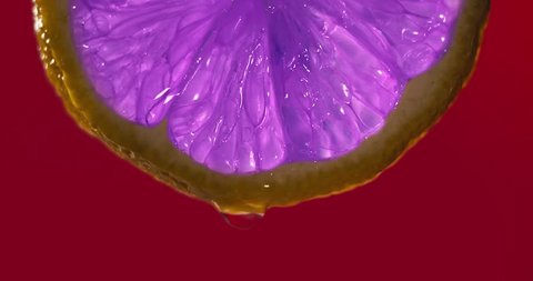 Cinemagraph - Close up or macro of a purple slice of lemon, a drop of water falls in slow motion. The fruit gives off freshness and juice filling. Concept of fresh fruit, cocktail juice