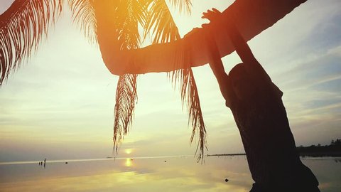 Young man in sunglasses hangs on a palm tree at sunset on the beach. slow motion. 1920x1080