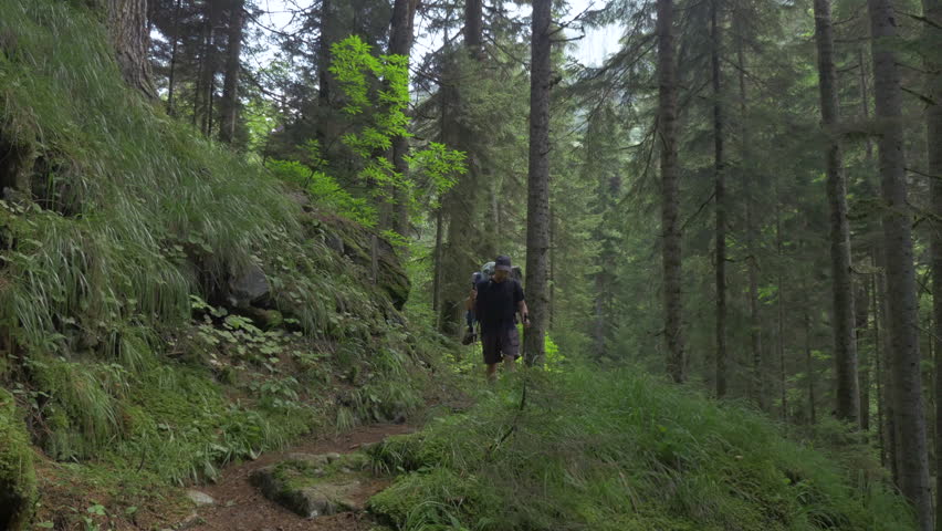 A traveler walks along a path through a mountain forest | Shutterstock HD Video #1020811225