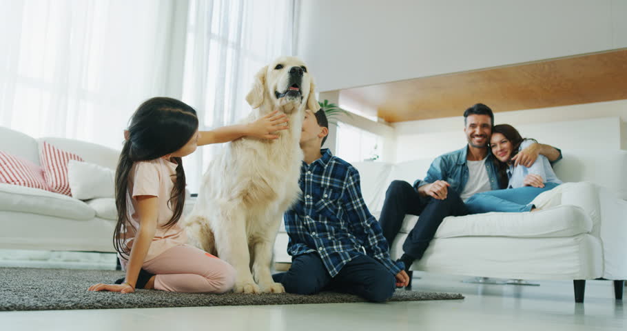 Portrait of happy family with a dog having fun together in living room in slow motion. Shot with RED camera in 8K. Concept of happy family, parenthood, love for animals | Shutterstock HD Video #1020812053