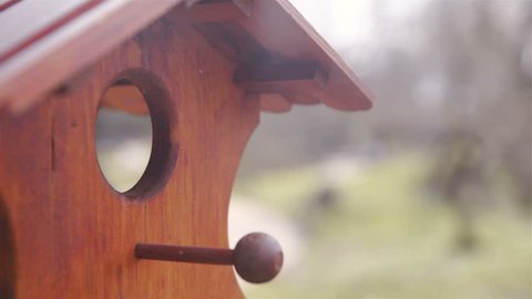 Bird house swing in wind close up HD.Long shot focus on brown bird house hole. Garden in background out of focus.