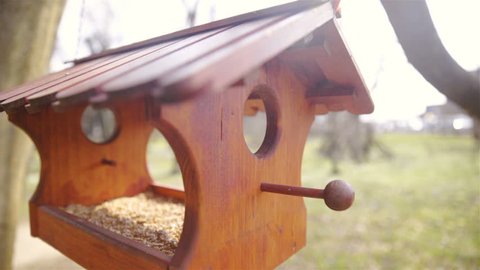Beautiful bird house feeder under the sun HD.Wide shot close up of brown bird house in focus with food inside. Background green park out of focus.