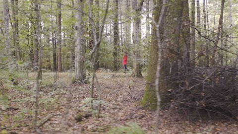 Woman in red coat walking in forest alone HD. Wide shot on gimbal stabilizer steadicam moving through forest tracking person in focus. Side shot of person. Tall trees in background.