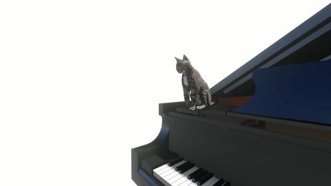 Cat washes sitting on the piano on white