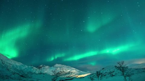 Aurora Borealis (Northern Lights) seen in a clear sky in winter. Tromsø, Norway