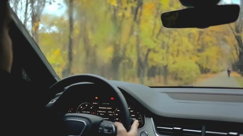 Cinemagraph. Loop video. Live. View of the park from the windshield inside a car while rain. Drops of water fall on the glass. Wipers works. The man sitting inside a car and holds the steering wheel